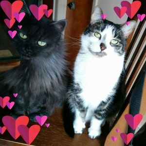 Meet your Posher, Guylaine